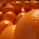 DSCF2046