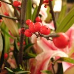 DSCF2053