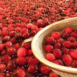 DSCF2061