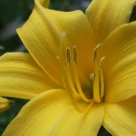 DSCF3996