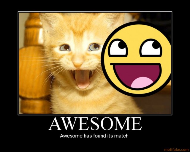 Awesome Cat Pictures