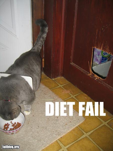 Diet Fail