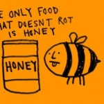interesting-fact-19