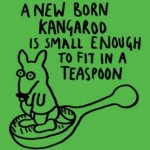 interesting-fact-21