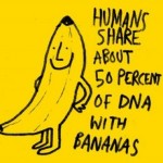 interesting-fact-23