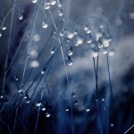 rain-03