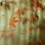 rain-09