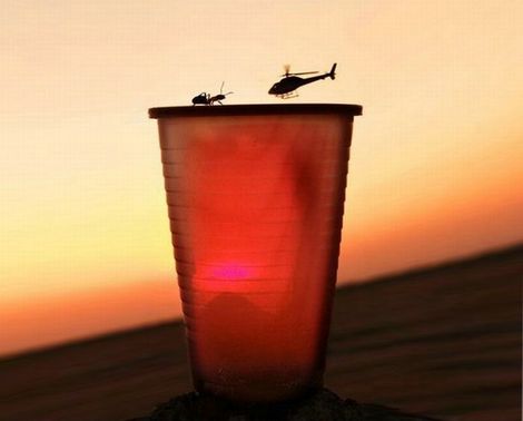 Some photos are all about timing