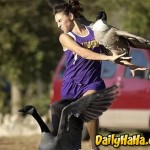 bird-to-face
