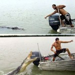 crocodile-attack