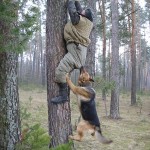 determined-dog