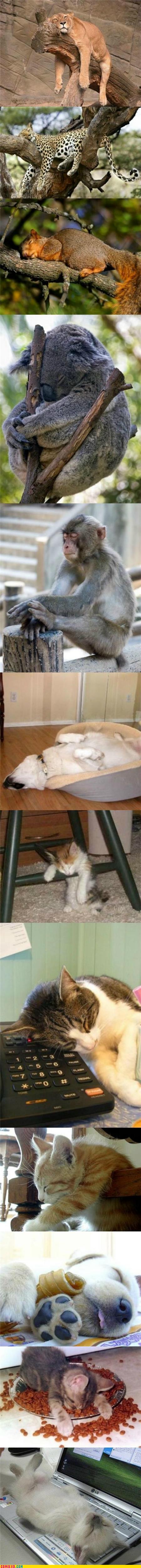 ever-been-so-tired