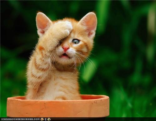 facepaw