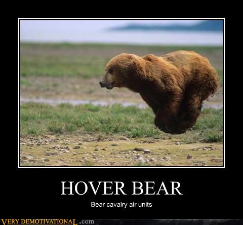 hoover bear