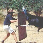 turkey-attack