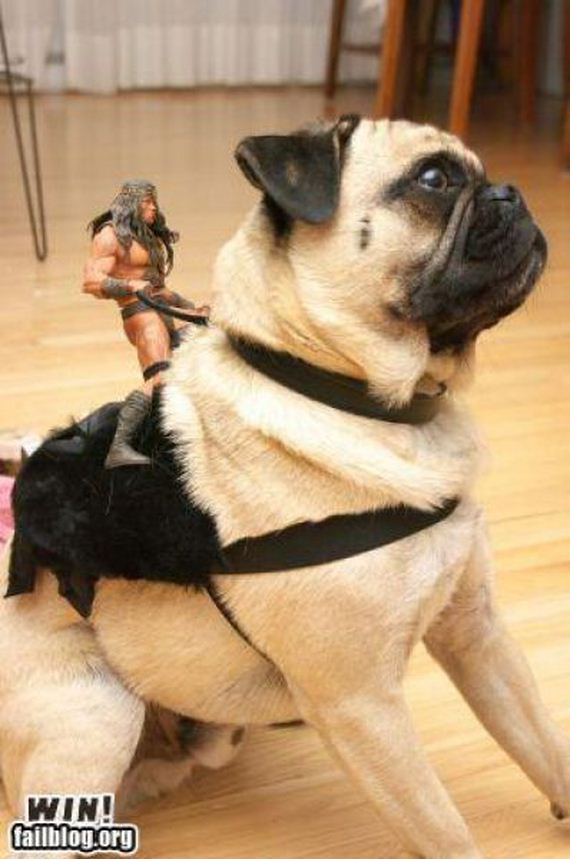 conan-finds-a-steed