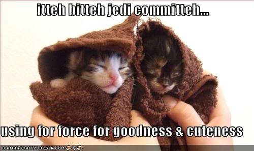 kittens-are-jedis