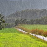 landscape-in-the-rain-mihaly-kazsuba