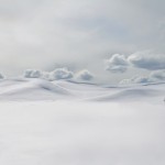 lone-tree-yellowstone-by-anita-erdmann