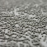 sand-speheres-sand-bubbler-crab-baron-collocott