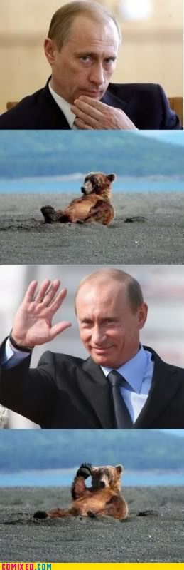 Vladimir-Putin-bear-wassup