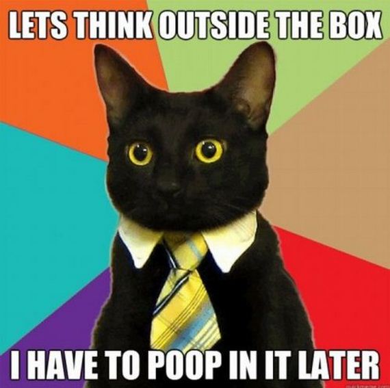 poop-in-box