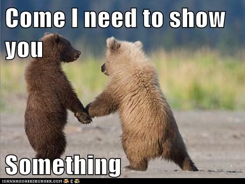 best-friend-bears