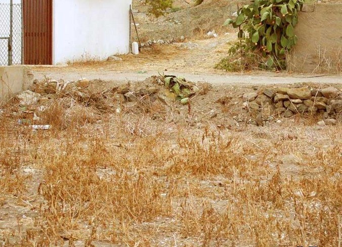 find-the-cat-2
