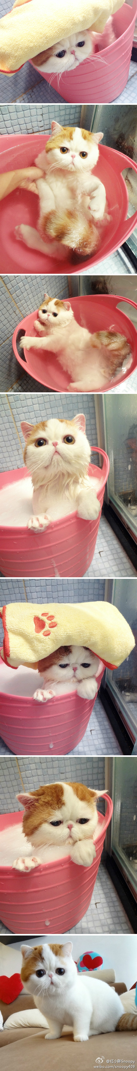 snoopy-takes-a-bath
