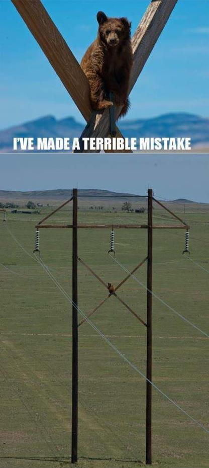 terrible-mistake