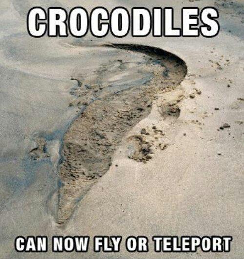 crocodiles-teleport