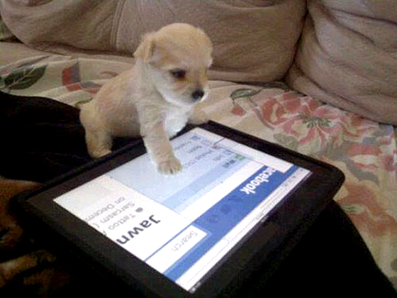 friend-request