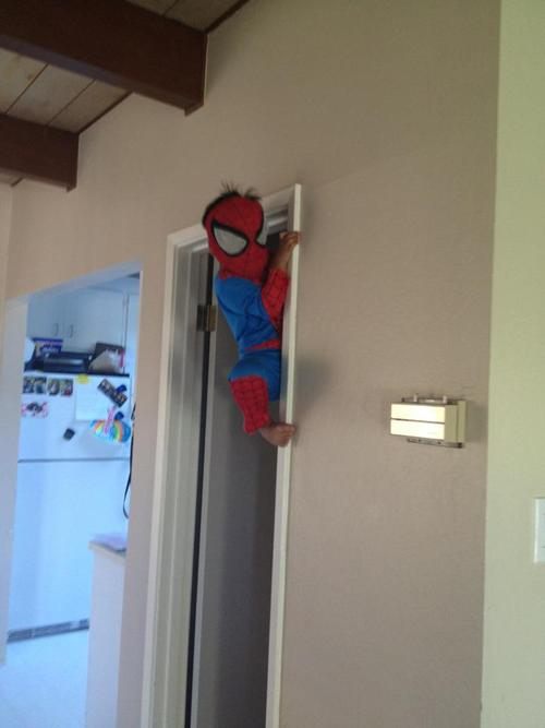 spiderkid