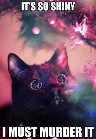 cats-during-christmas