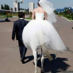 perfectly-timed-photos-4