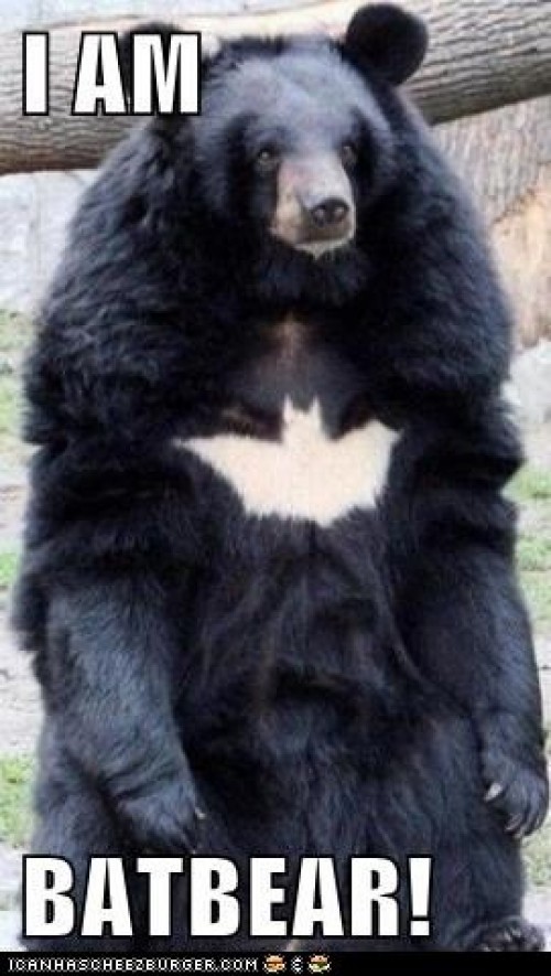 bat-bear