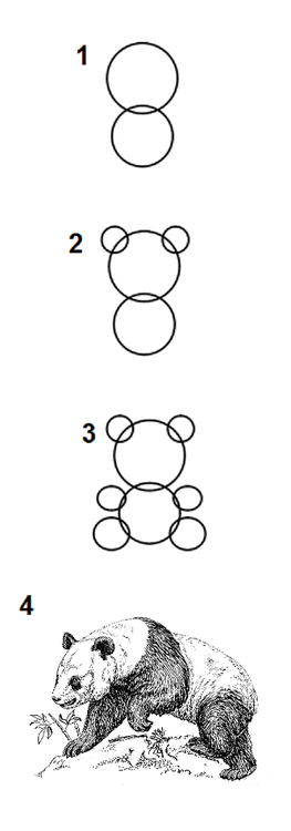 drawing-books