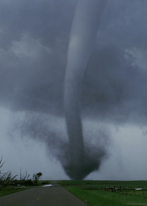 twister-cinemagraph