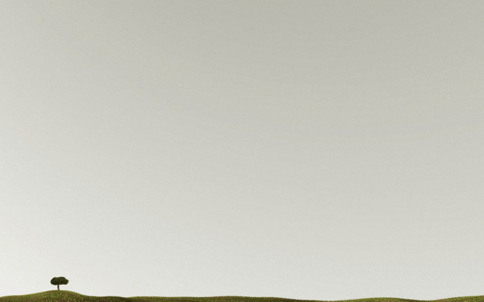 lone-tree