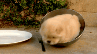 let-me-out