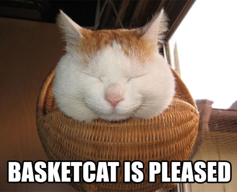 basketcat-is-pleased.jpg